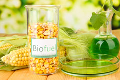 Shalstone biofuel availability