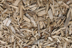 biomass boilers Shalstone